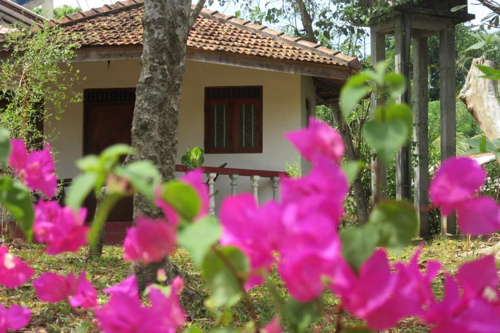 Calm Garden Cabanas Tangalle Exterior foto