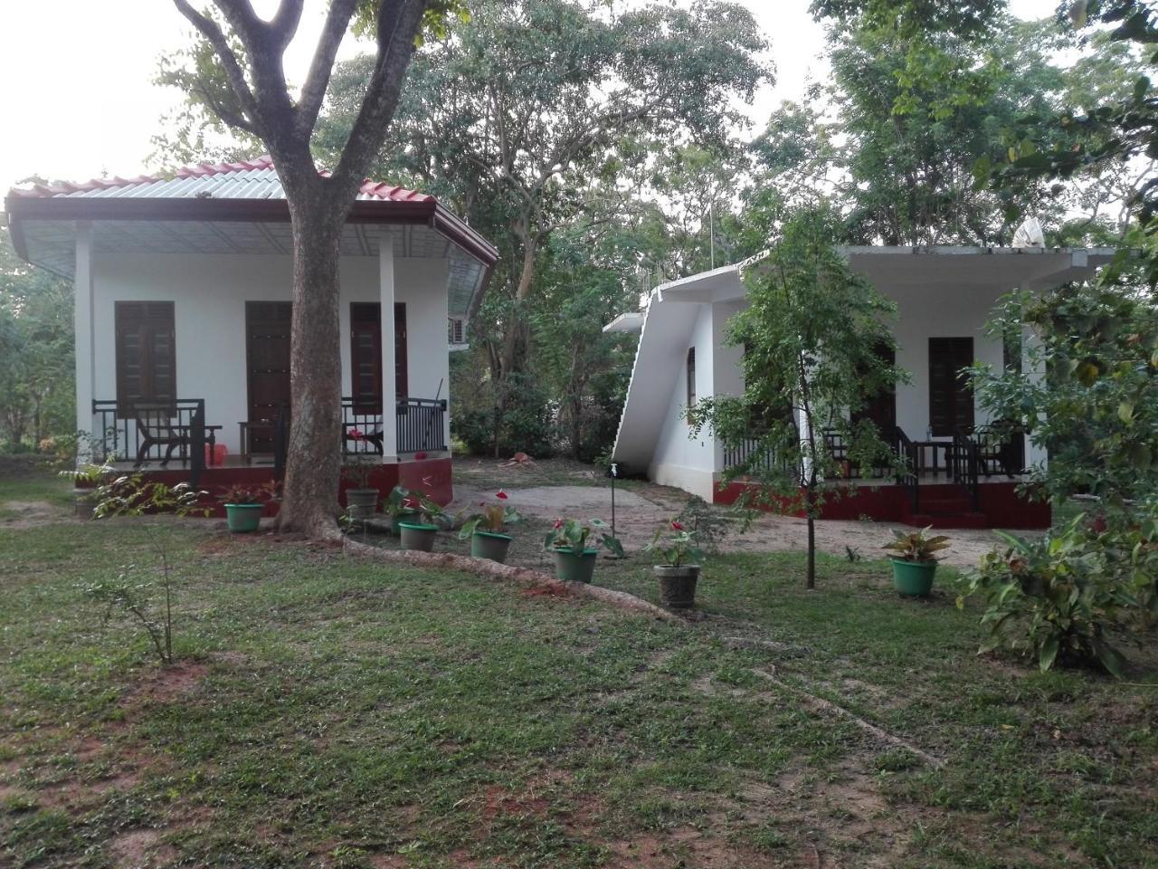 Calm Garden Cabanas Tangalle Exterior foto